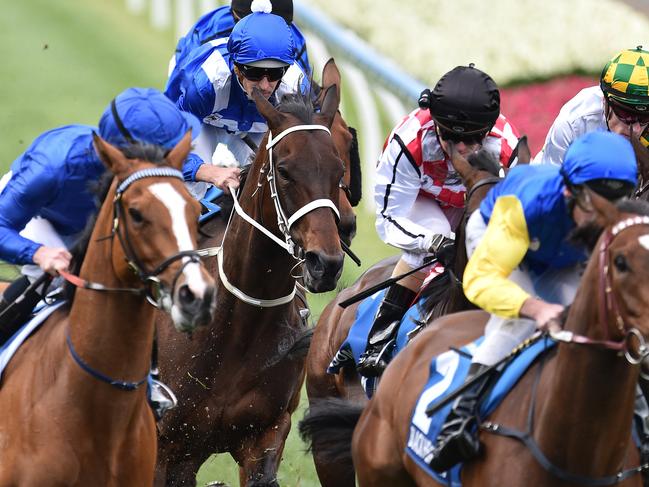 Hugh Bowman rides Winx (centre) past the post for the first time in the Cox Plate at Moonee Valley Racecourse in Melbourne, Saturday, Oct. 22, 2016. (AAP Image/Julian Smith) NO ARCHIVING, EDITORIAL USE ONLY