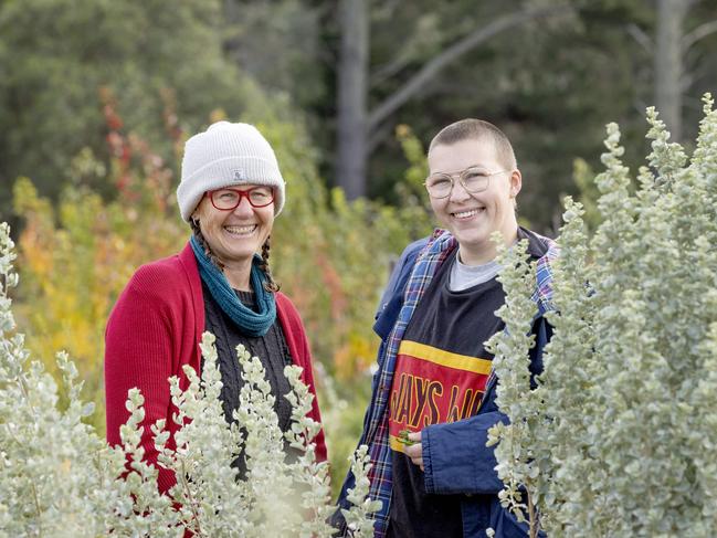 NEWS: Harcourt Organic Farming Co OpPICTURED: Harcourt Organic Farming Co Op operator Katie Finley with Ira Barker from Murnong Mummas in the bush foods plot next to the 'old man' saltbush.Picture: Zoe Phillips