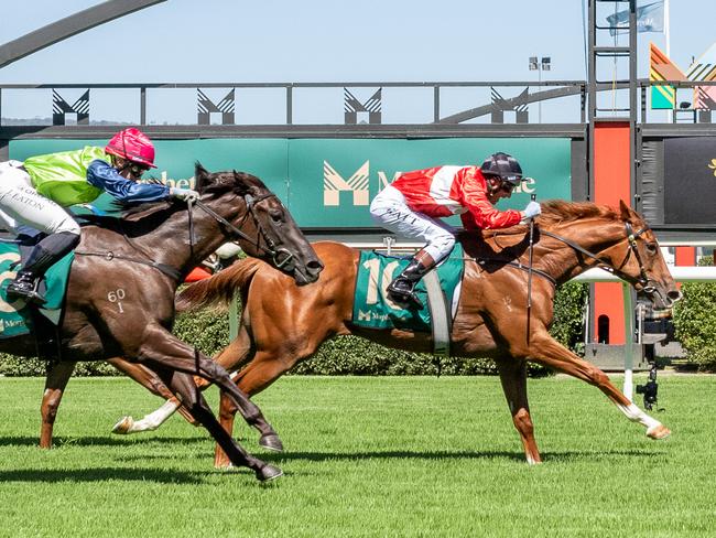 Ad Astra (left) finishes second in the Listed Cinderella Stakes last month. Photo: Makoto Kaneko