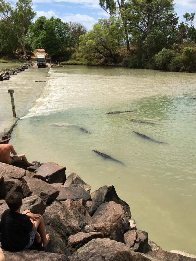 Swarms of saltwater crocodiles gather at Cahill’s Crossing in Arnhem Land. Picture: Kristi Moseley