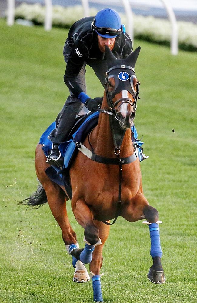 Hartnell with Richard Cronin onboard works down the main straight. Picture: Colleen Petch