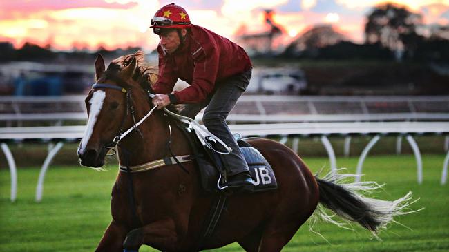 Michael Cahill on Queen Of Wands during the winter carnival last year. Picture: Annette Dew