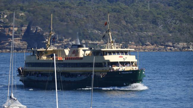 Images of the Manly Freshwater ferries have appeared in guide books around the world. Picture: Bradley Hunter