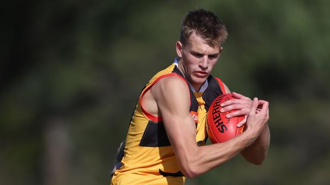 MELBOURNE, AUSTRALIA - MAY 05: Charlie Orchard of the Stingrays marks the ball during the 2024 Coates Talent League Boys Round 06 match between the Dandenong Stingrays and the Gold Coast Suns Academy at Belvedere Reserve on May 05, 2024 in Melbourne, Australia. (Photo by Rob Lawson/AFL Photos)