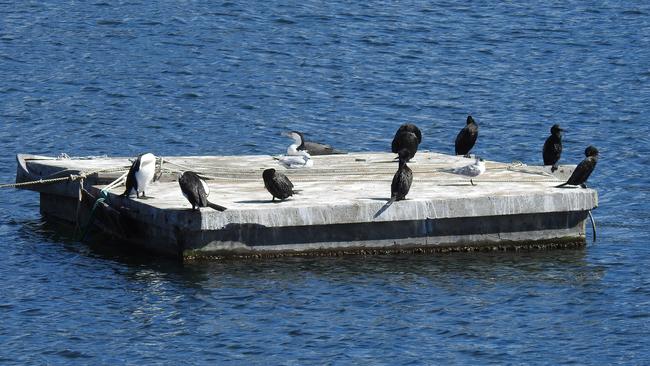 A pontoon removed as part of the War on Wrecks.