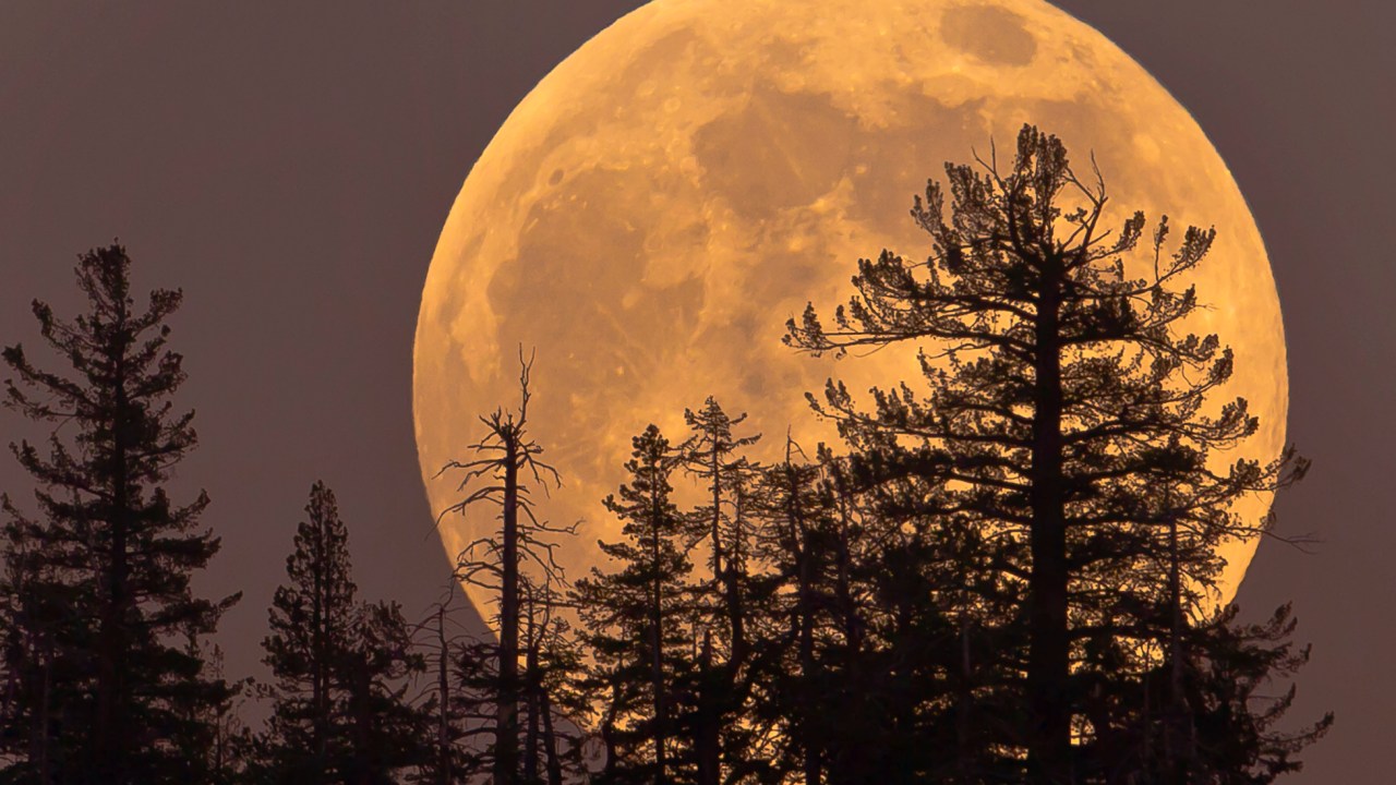 How to the see the rare 2024 super blue moon in Australia The Courier