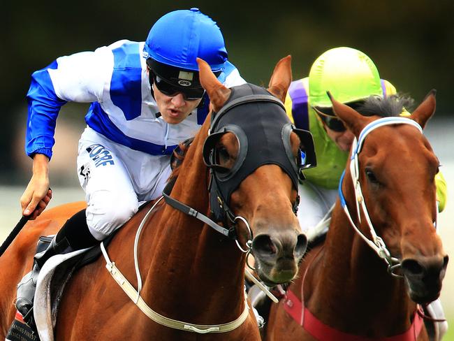 Sense of Occasion ridden by Brodie Loy, wins race 7 during racing from Royal Randwick. pic Mark Evans