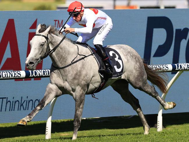 SYDNEY, AUSTRALIA - SEPTEMBER 26: Nash Rawiller on Love Tap wins race 4 the Precise Air Gloaming Stakes during Sydney Racing at Rosehill Gardens on September 26, 2020 in Sydney, Australia. (Photo by Mark Evans/Getty Images)