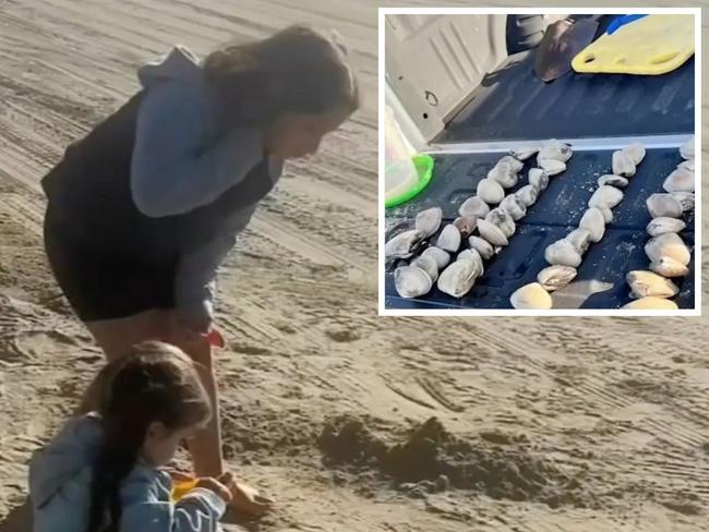 A California mother was slapped with a fine worth $A133,000 ($US88,000) after her kids mistakenly collected clams — thinking they were picking up seashells. Picture: KFSN-TV