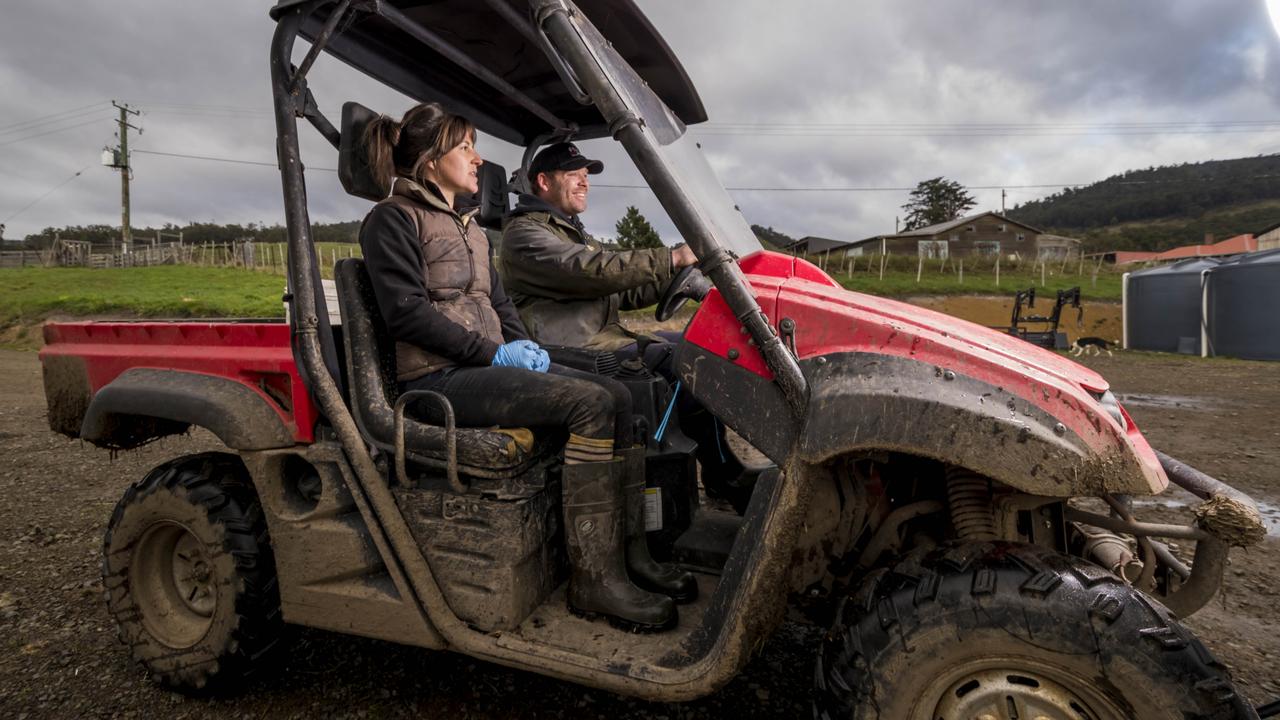 Nick also raises 100 chooks for eggs and 35 pigs. Picture: Phillip Biggs