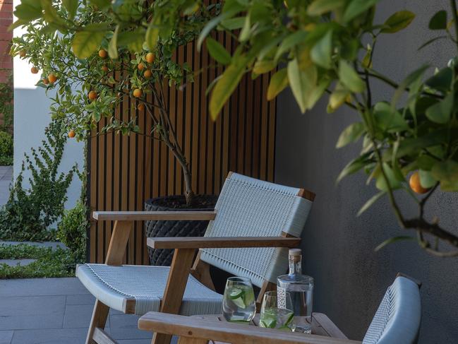 Wanted: Aussie-made gin and citrus trees. Picture: Lee Gray Landscape design.