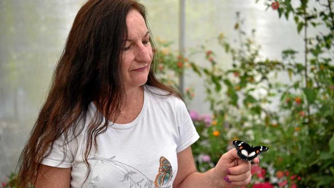 SPRING: Teena Harcla from Butterfly Hill with a newly hatched butterfly. Picture: Warren Lynam