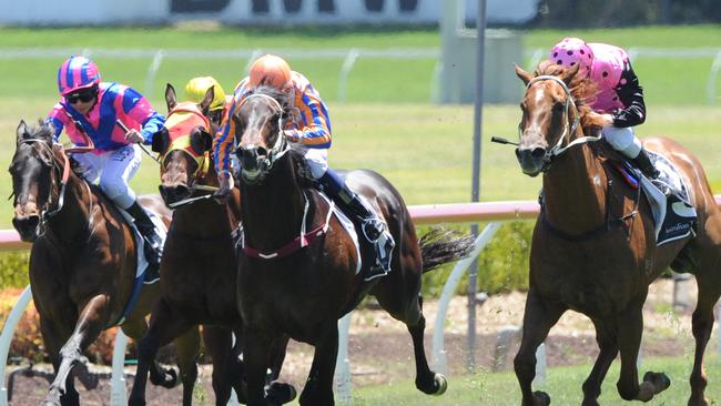 Mr Manhattan (outside) has won his past two races in town. Picture: Simon Bullard