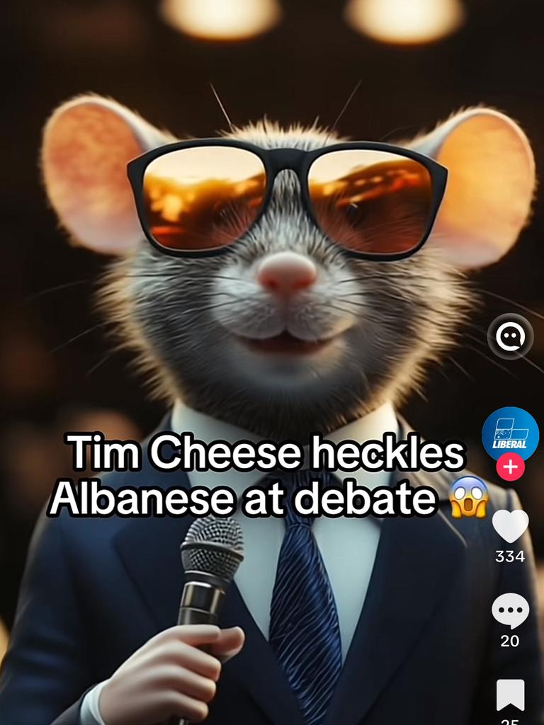 Liberal TikTok featuring Tim Cheese 'brain rot'. Picture: TikTok