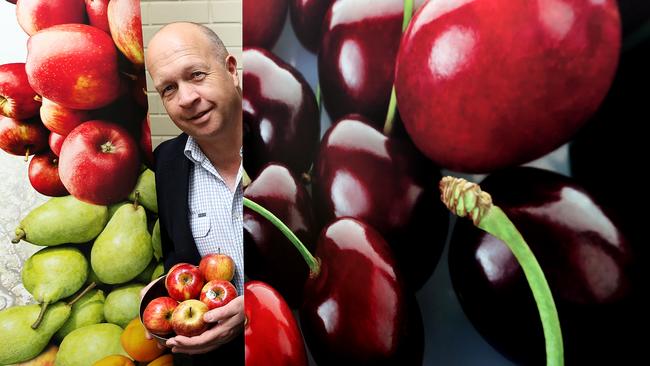 Fruit Growers Tasmania's business development manager Phil Pyke says the organisation wants a “deep dive” and a “drawn out investigation” into the backpacker tax. Picture: SAM ROSEWARNE