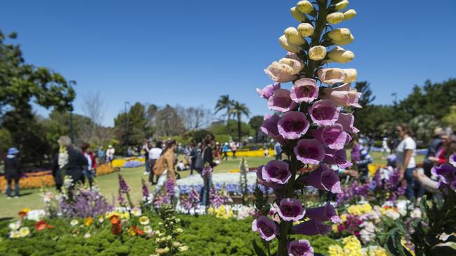 Crowds of people admire Laurel Bank Park during Carnival of Flowers 2020, Saturday, September 26, 2020. Picture: Kevin Farmer