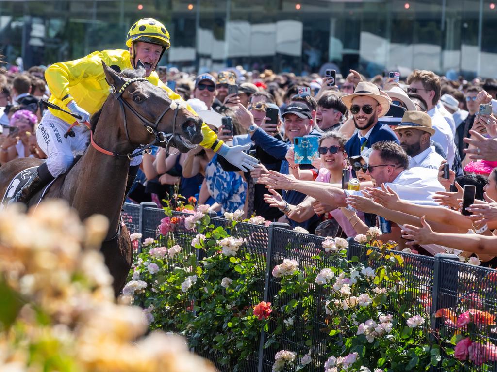 Flemington’s glorious roses almost stole the show as Without A Fight and jockey Mark Zahra greeted crowds on their return to weigh in after winning the Lexus Melbourne Cup on November 7. Picture: Jay Town/Racing Photos via Getty Images