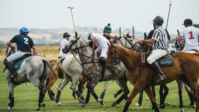 Ponies in action at Barnbougle last year. Picture: Supplied