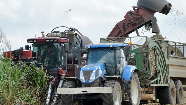 A harvester and haul out tractor work together to harvest sugar cane near Mackay.