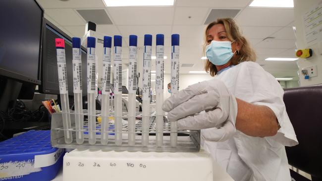 Clinical assistant Monika Wilson registering swabs. Picture: Glenn Hampson.