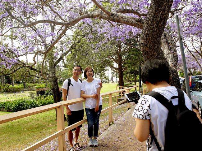 Stanley Lau and Pearl Lau enjoying the atmosphere. Picture: Annika Enderborg