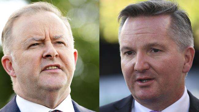 Anthony Albanese and Chris Bowen are the two declared candidates. Picture: AAP