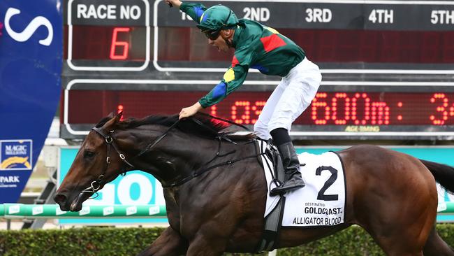 Alligator Blood is still listed as disqualified from the 2020 Magic Millions 3YO Guineas. Picture: AAP Image — Jono Searle.