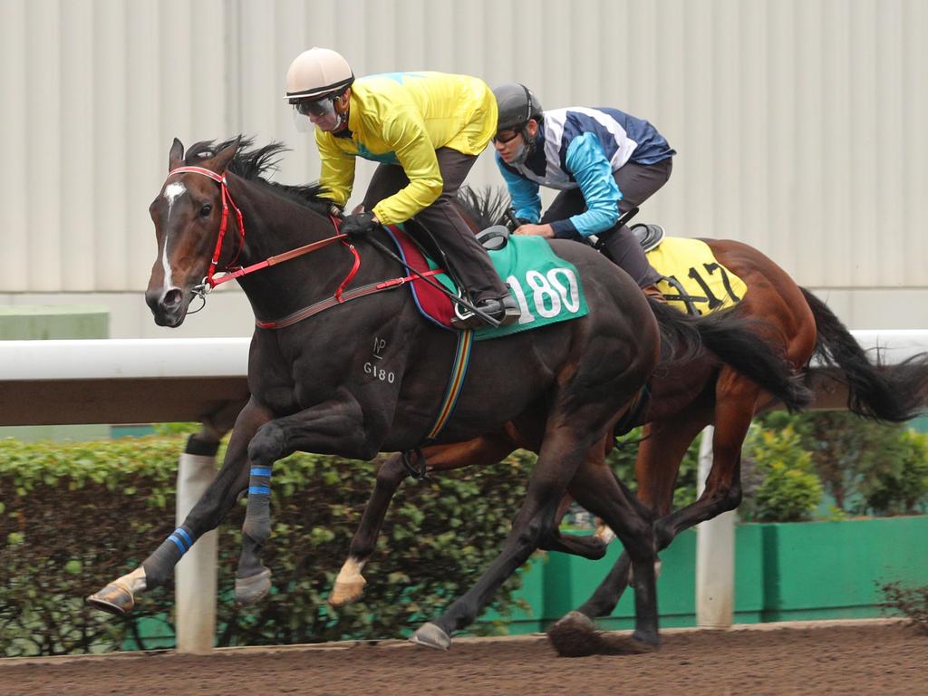 Lucky Sweynesse cruises ahead of Sha Tin return. Picture: HKJC