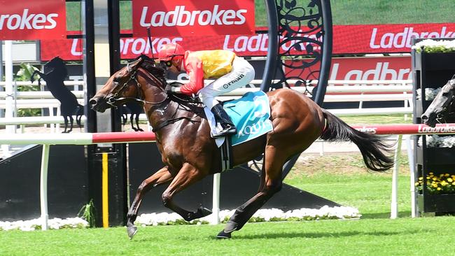 Tommy Berry will be in the saddle of Barbie’s Sister on Saturday. Picture: Natasha Wood/Trackside Photography
