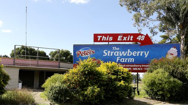 The space park is planned for the site of the old strawberry farm at Pimpama. Picture: JERAD WILLIAMS