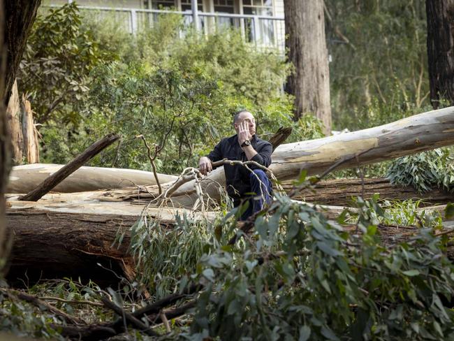 The Victorian SES had more than 9000 requests for assistance across the Dandenong Ranges and Yarra Valley. Picture: NCA NewsWire / Wayne Taylor