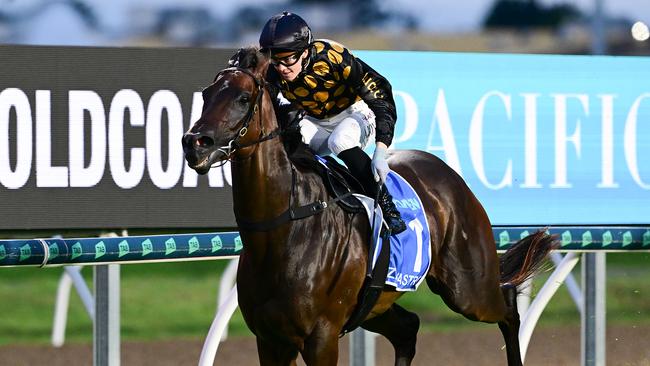 Zarastro couldn't be run down in the Magic Millions Snippets. Picture: Grant Peters/Trackside Photography