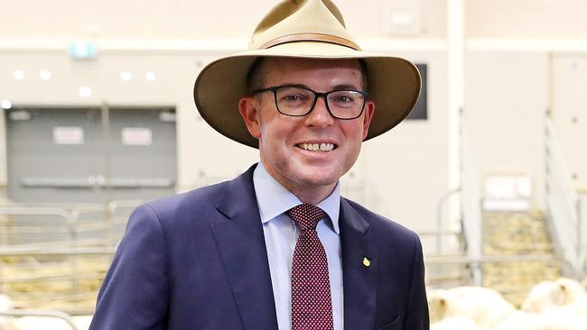 Agriculture Minister Adam Marshall. Picture: Tim Hunter