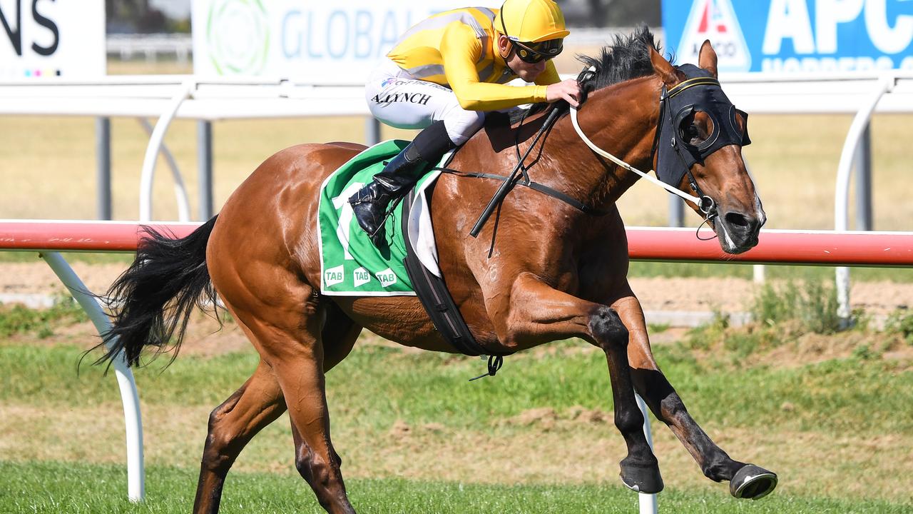 Vasmee can return to winning form when he steps out at Pakenham on Thursday night. Picture : Racing Photos via Getty Images.