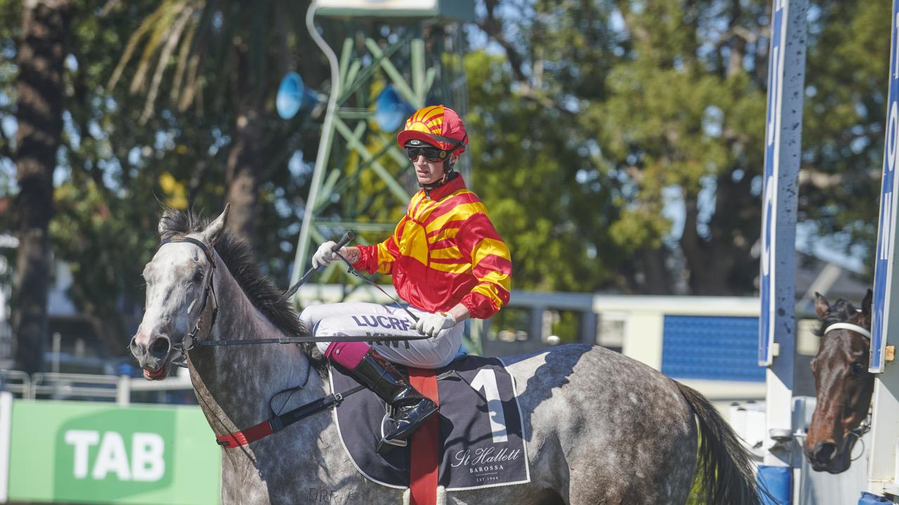 Kyle Wilson-Taylor (pictured at Grafton). Photo: Adam Hourigan