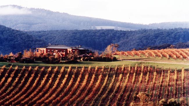 De Bortoli vineyards in Yarra Valley in Victoria.