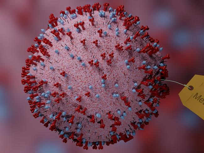 Abstract 3d Render of Human Metapneumovirus with a label tag tied to one of the Fusion proteins.