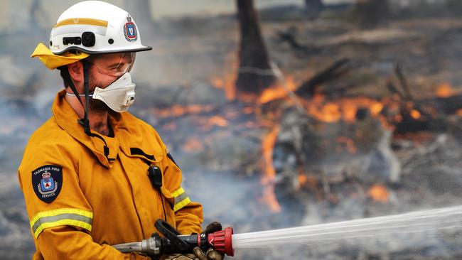 TFS volunteers during backburning operations at Fingal. Picture: CHRIS KIDD