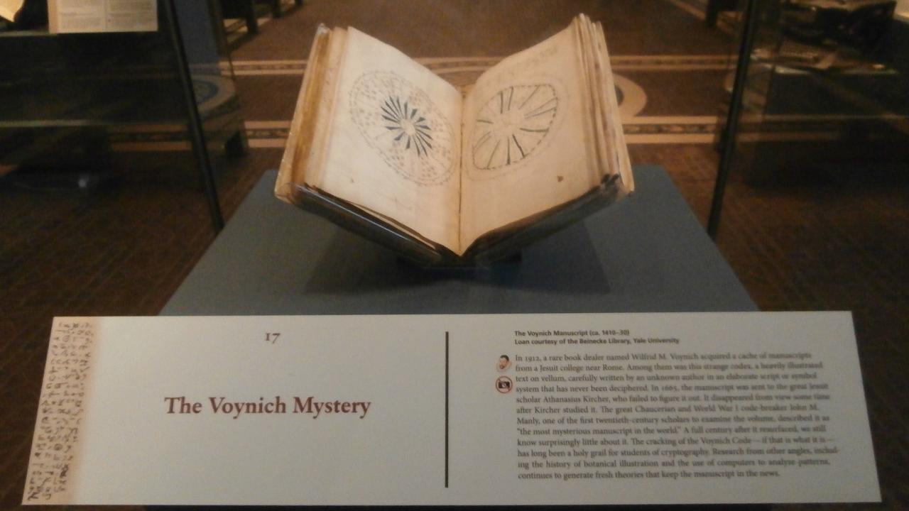 Dr Cheshire managed to identify letters and symbols within the Voynich manuscript.