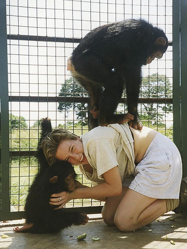 Justine Ruszczyk volunteering with chimpanzees in Uganda