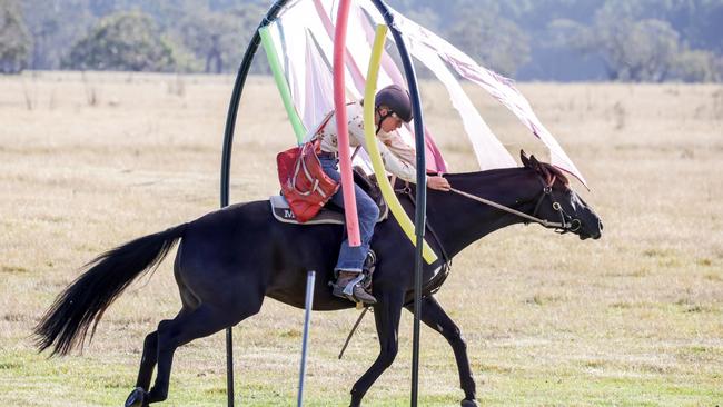 Maddi hopes to compete in the biggest competitions across the country. Picture: Nicole Cleary