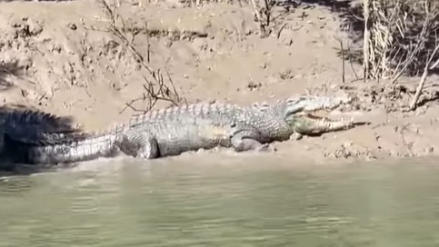 Andergrove local Damien McGreachin was hoping for some big fish when he set off boating this morning, instead he was faced with a monster five metre croc. Picture: Damien McGreachin