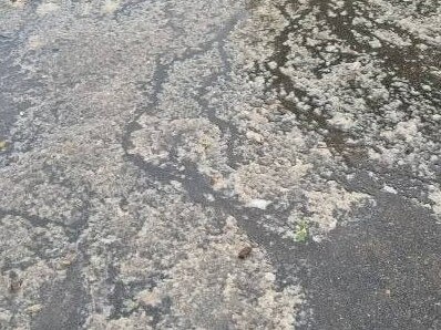 Sewage spills across Andrew Koning’s driveway in Vincent on Wednesday morning, after yet another downpour overwhelmed the drains. Picture: Andrew Koning