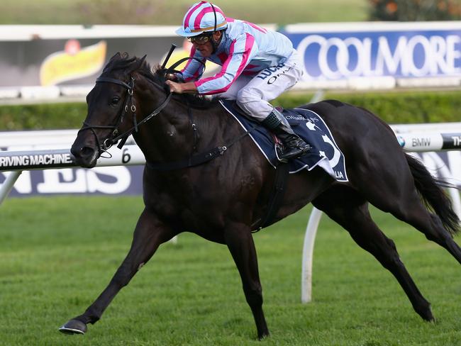 Damien Oliver scoots along the rails with Azkadellia to win the Queen Of The Turf Stakes. Picture: Getty Images