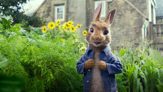 Peter Rabbit managed to make a loveable character from a book into an insufferable presence on screen. Picture: Supplied