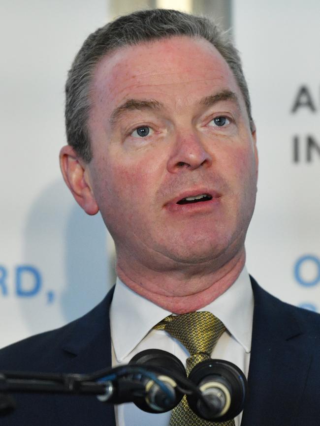 Defence Industry Minister Christopher Pyne.