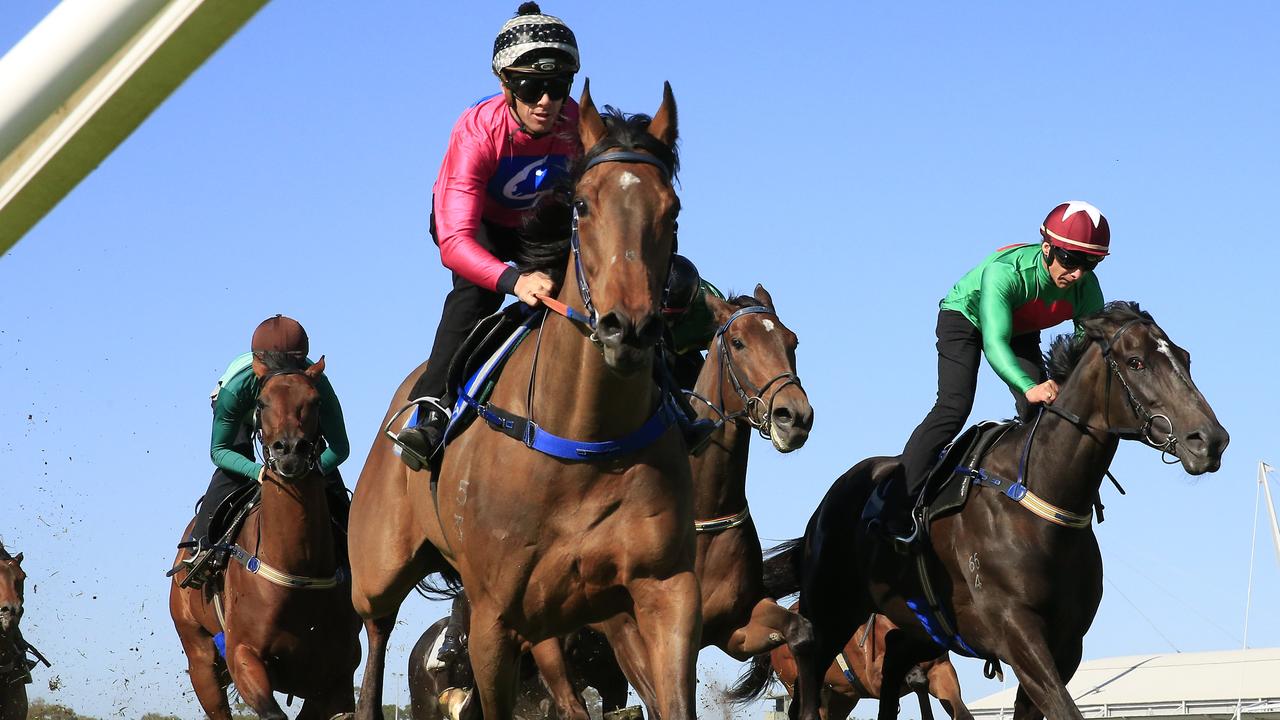 Jockey Aaron Sweeney sticks with Trapper Tom again in the Cootamundra Cup.