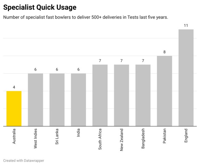 CricViz stats about specialist fast bowler usage across a full series.