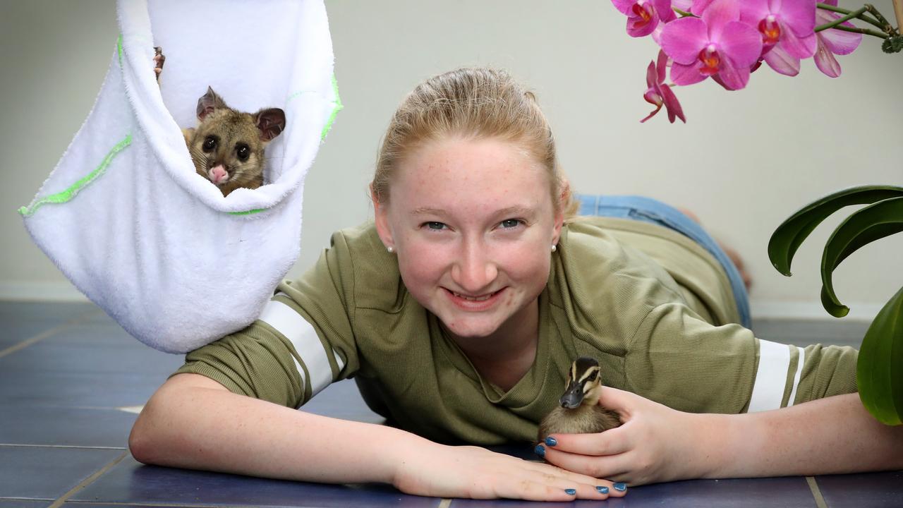 Queensland teenager Esther McPhie, 14, volunteers with Wildlife Warriors and has raised more than $9000 for its wildlife hospital. Picture: Jamie Hanson