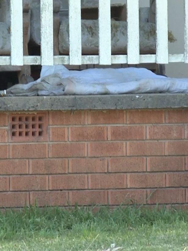 A neighbour’s cat (under white sheet) was also killed by the dogs. Picture: TNV